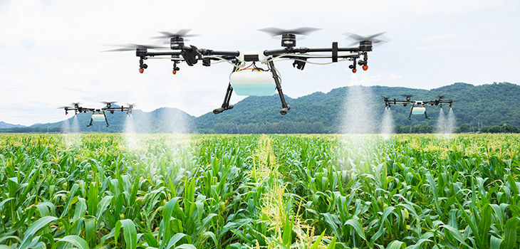 Drone sobre fazenda