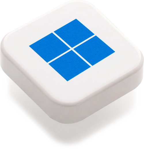 Windows 11